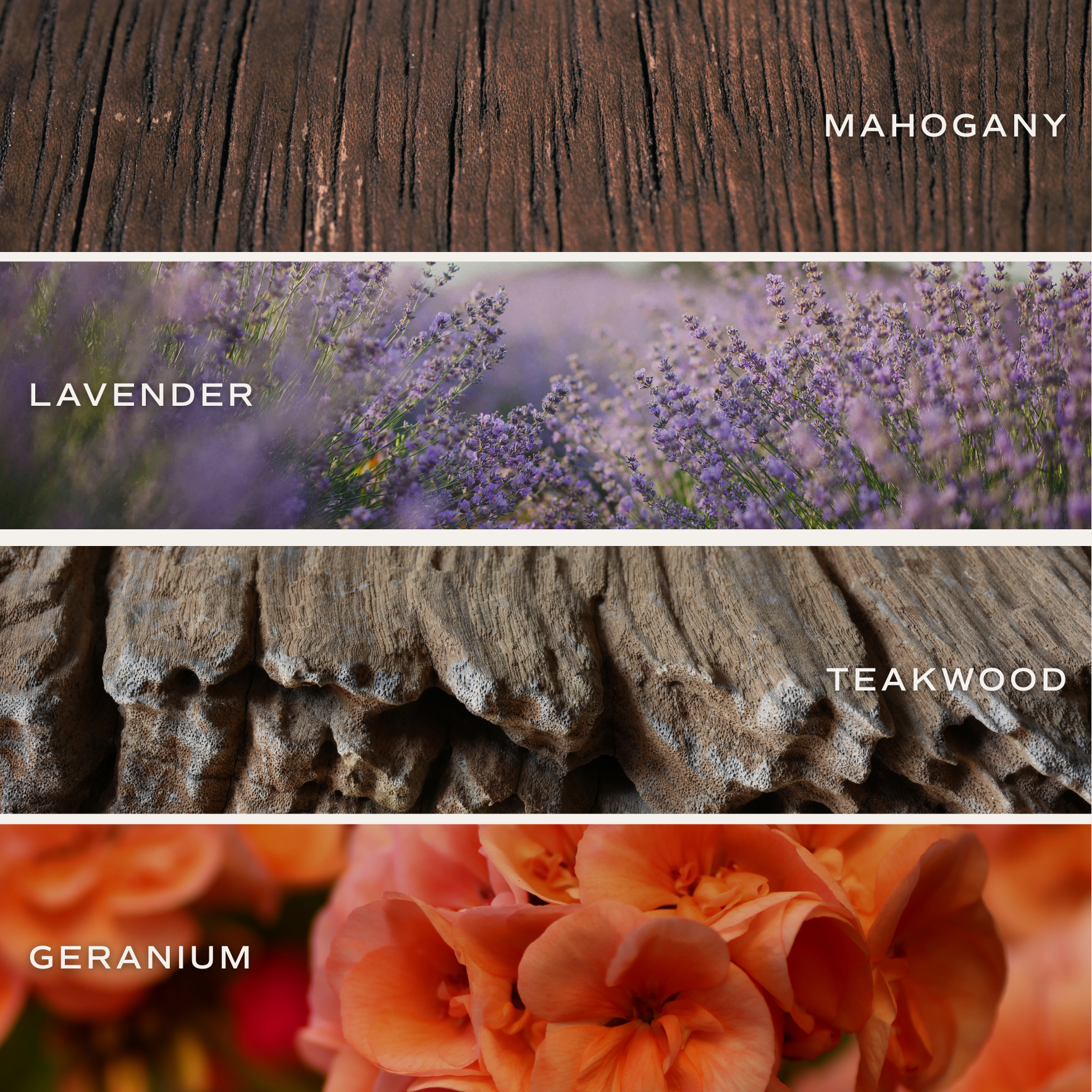 DRIFTWOOD & MAHOGANY AMBER REED DIFFUSER