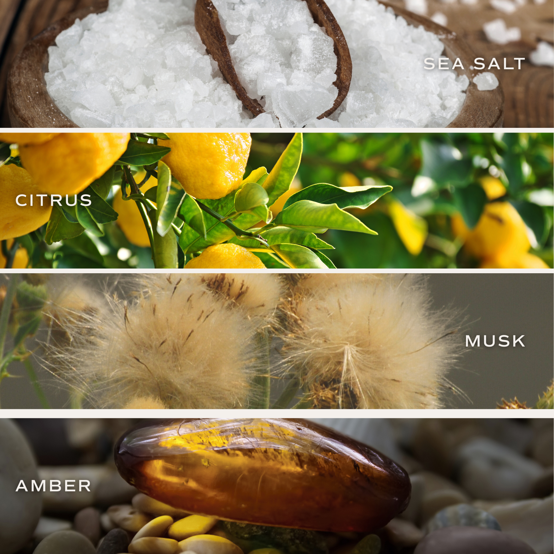 SALT & SEA REED DIFFUSER
